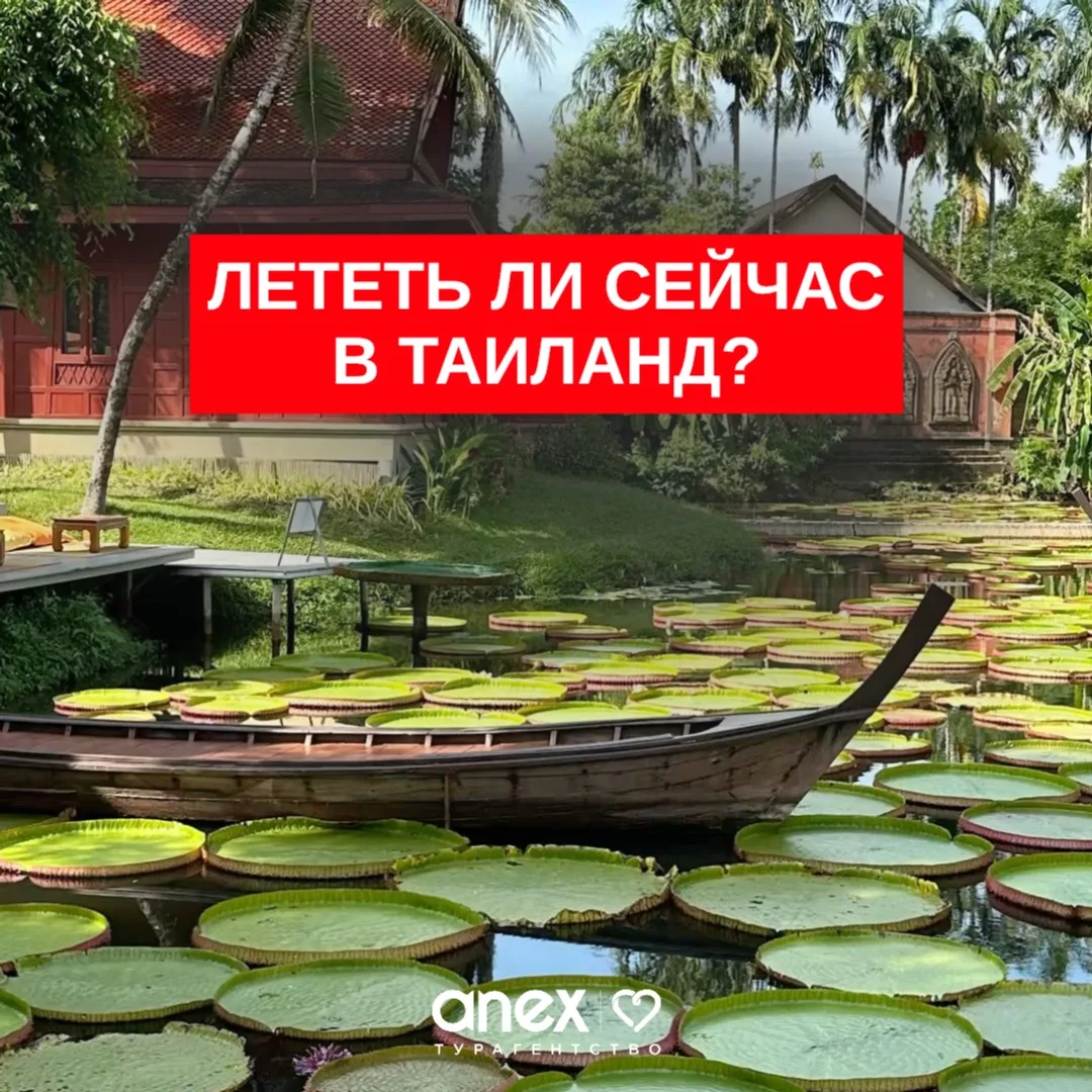 🇹🇭 Стоит ли сейчас лететь отдыхать в Таиланд?
Этот вопрос нам задают очень часто. И ответ, да, есл