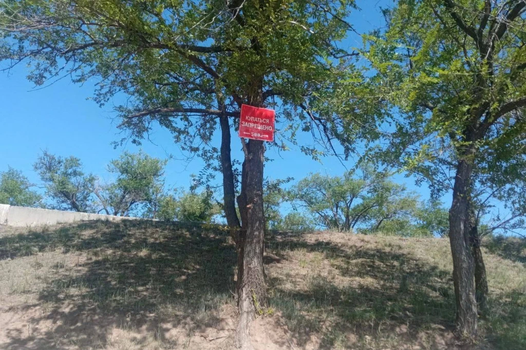 Камеры установят на причальной стенке в Балаково для борьбы с купальщиками 
 
Подростки продолжают и