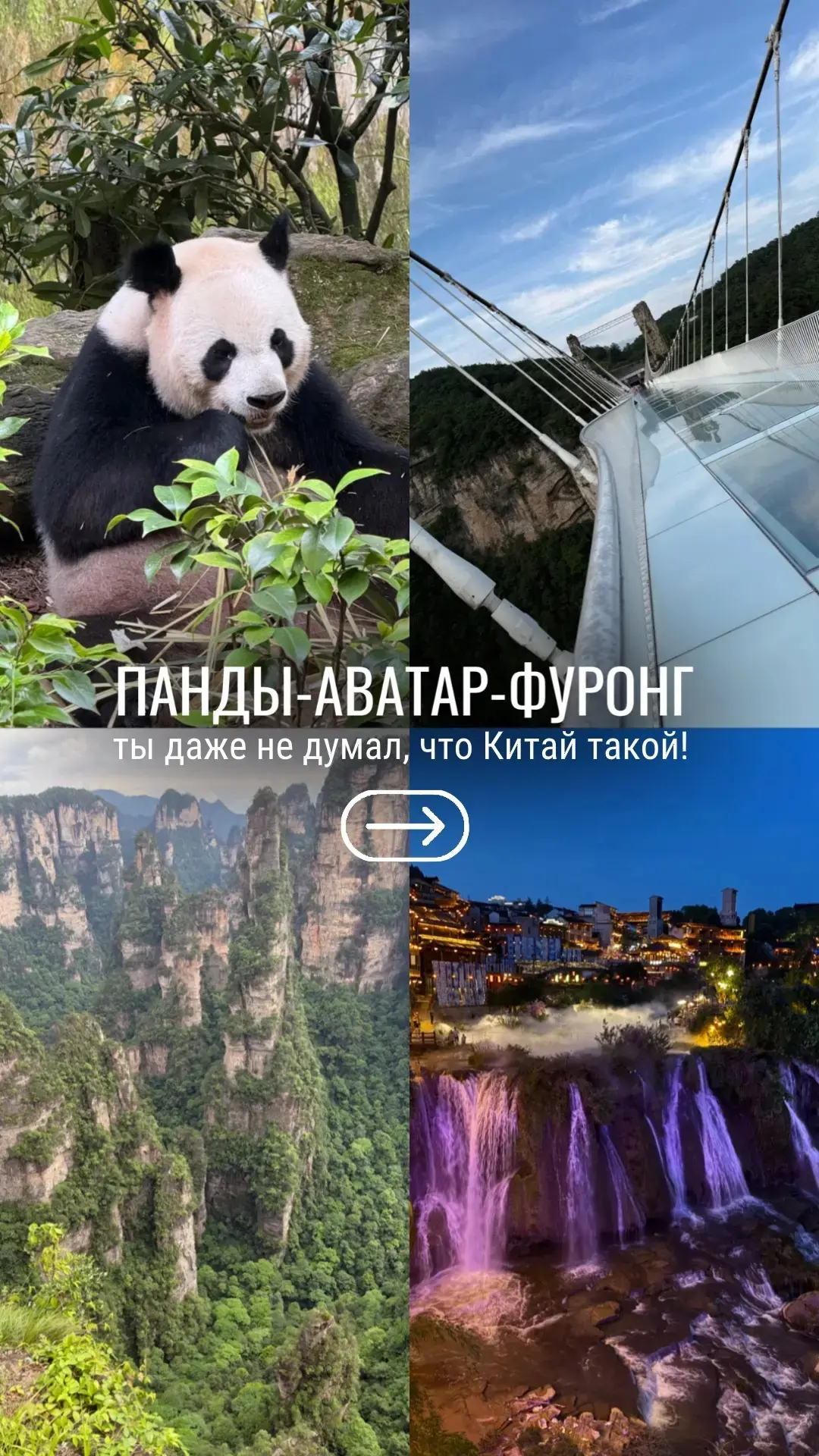ПАНДЫ-АВАТАР-ФУРОНГ

Китай, после которого обычные экскурсионные туры покажутся слишком простыми 🔥
