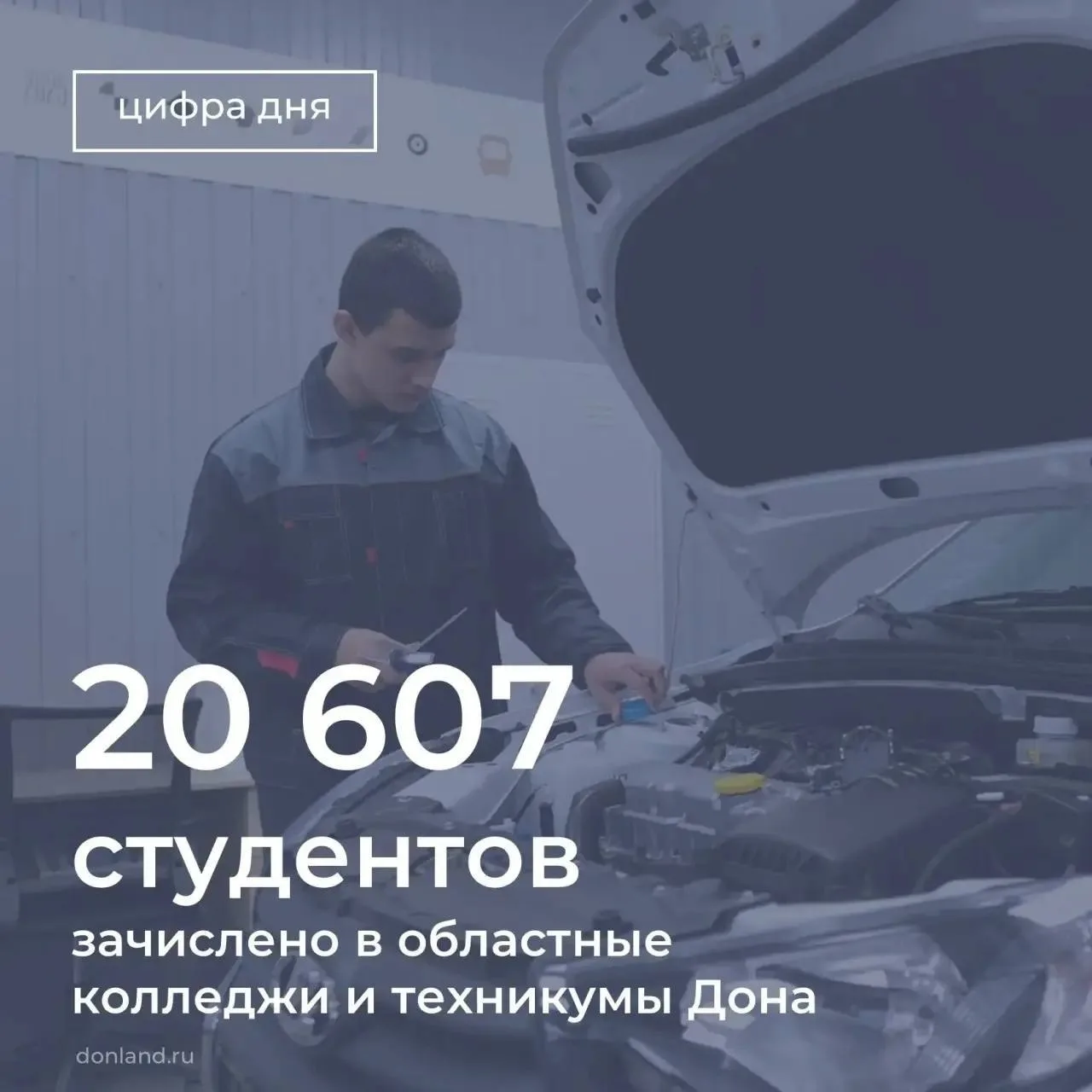 В областные колледжи и техникумы Дона зачислено 20 607 студентов по всем формам обучения.
