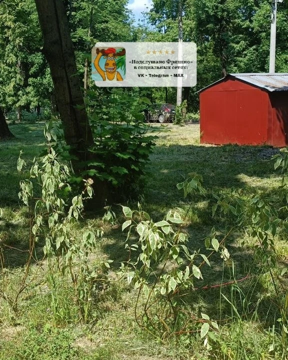 Парк на Институтской, 12. Чтобы не полить кусты? Высыхают выжившие. Машина с водой езди...