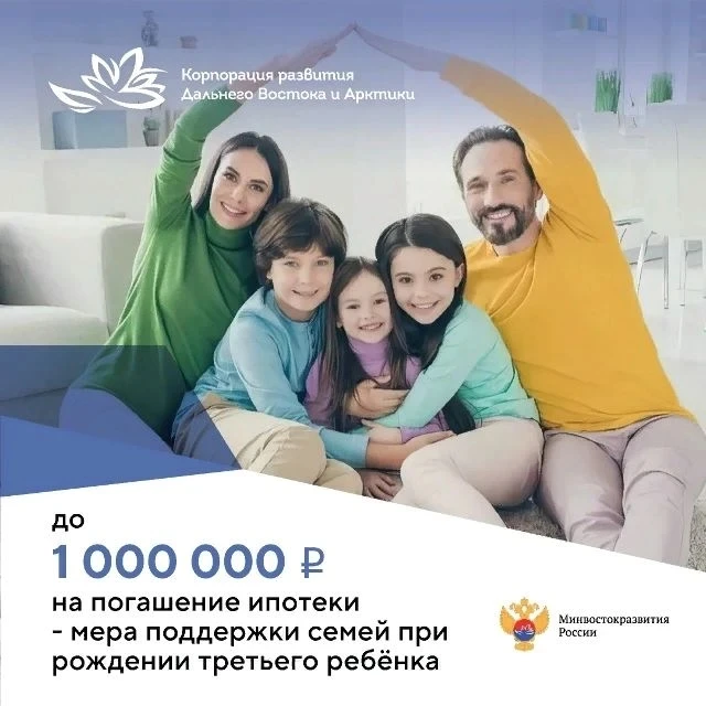 ✨Миллион рублей от государства могут получить многодетные семьи ЕАО

👉Подать онлайн-заявку можно че