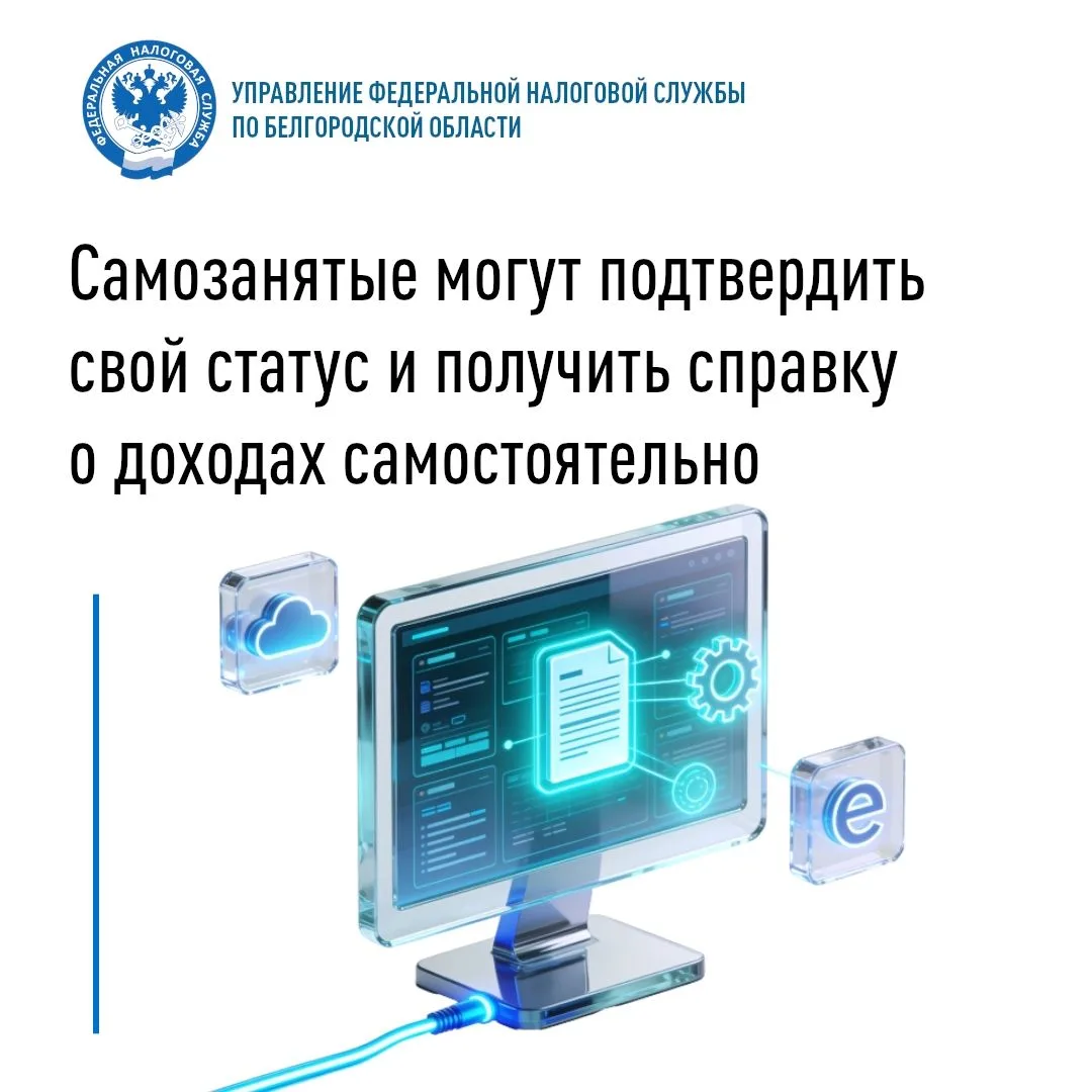 Плательщики налога на профессиональный доход (НПД) clck.ru/3VpKF8 в Белгородской област...