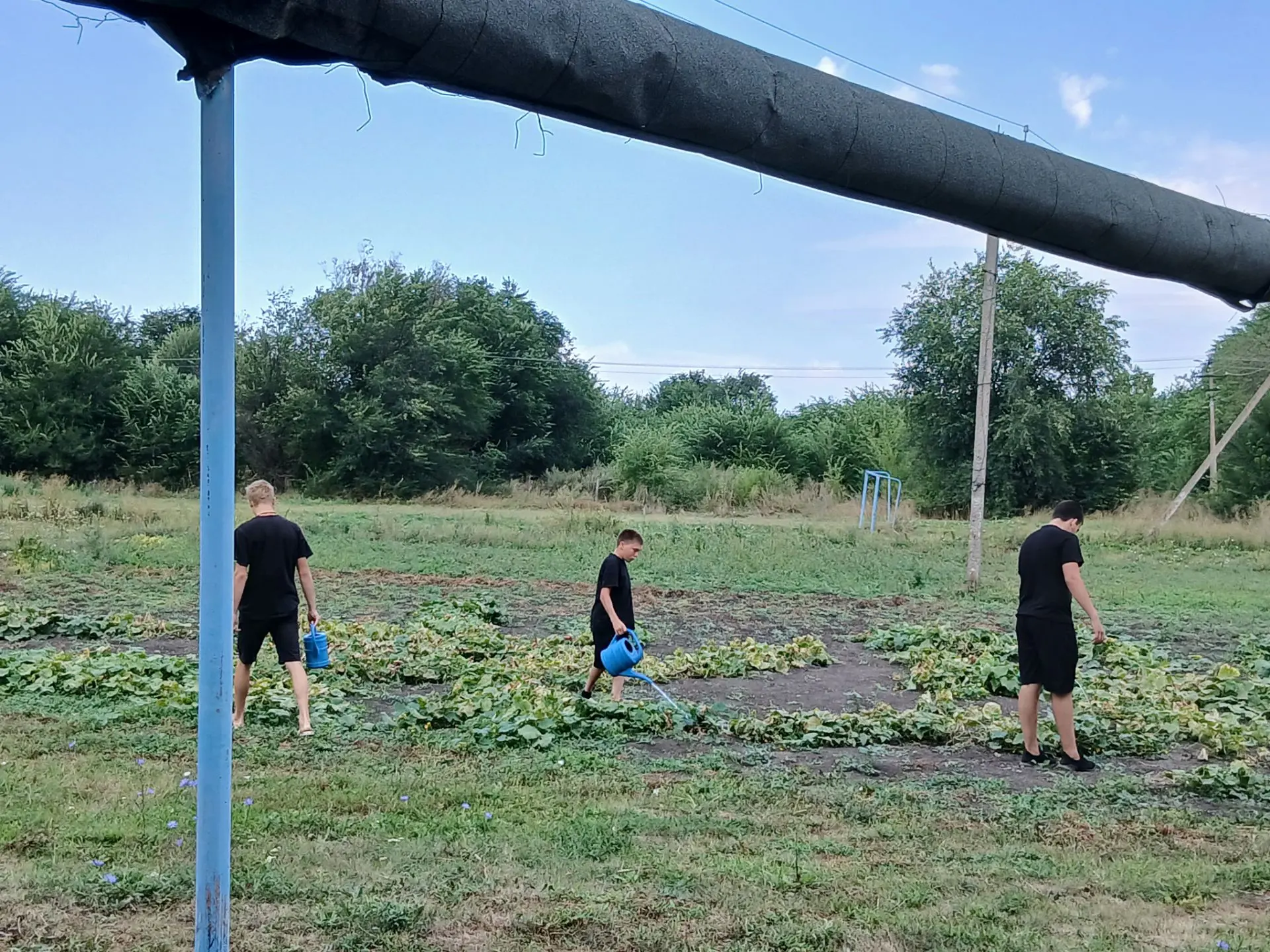 Продолжается летняя трудовая практика. Учащиеся 9 класса навели порядок в цветниках. По...