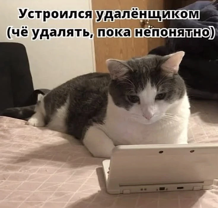 📰 Удалёнка оказалась продуктивнее офиса — но не для всех