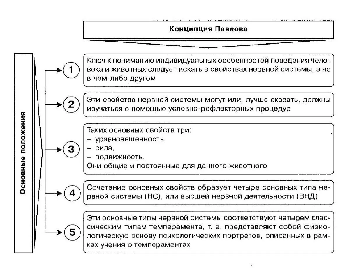 💡Павлов считал, что характер — это не случайность