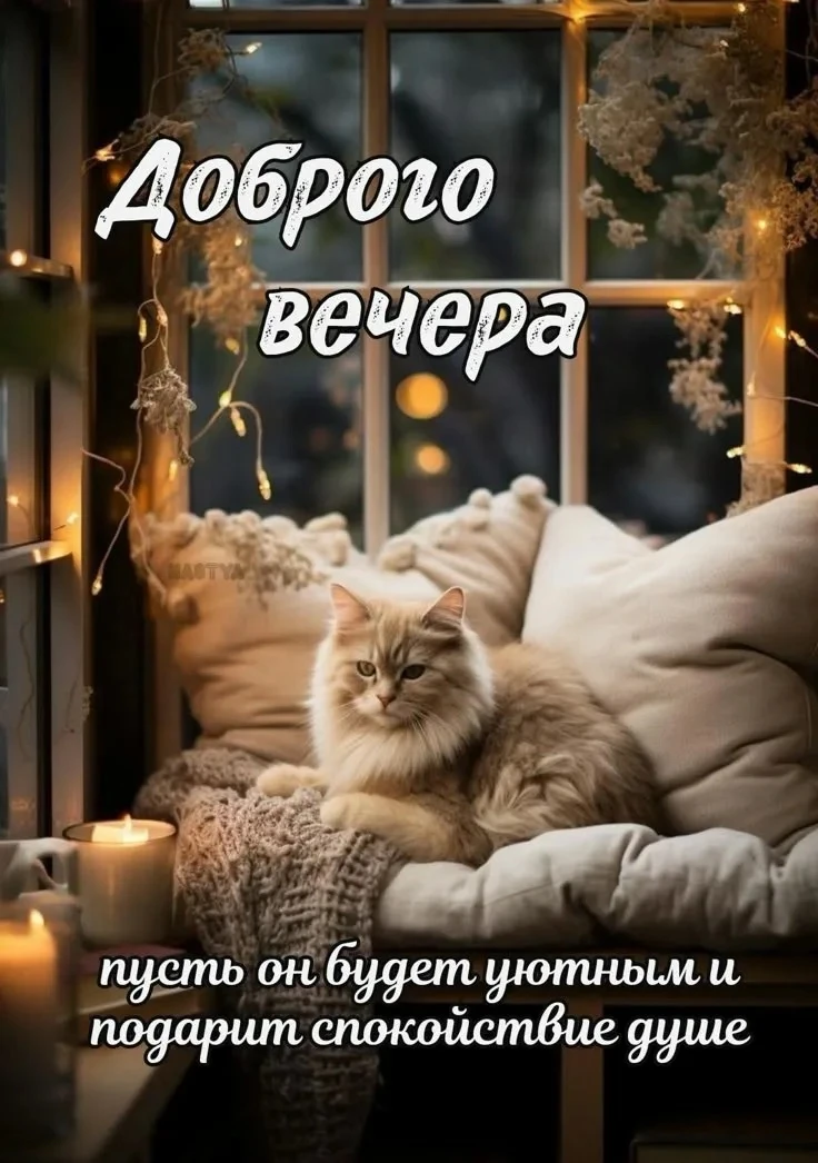 Больше открыток тут👇
КРАСИВЫЕ ОТКРЫТКИ
Не забудьте подписаться 🥰