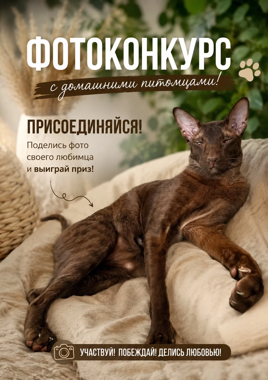 🐶🐱 У вас есть любимый домашний питомец? Тогда показывайте его!