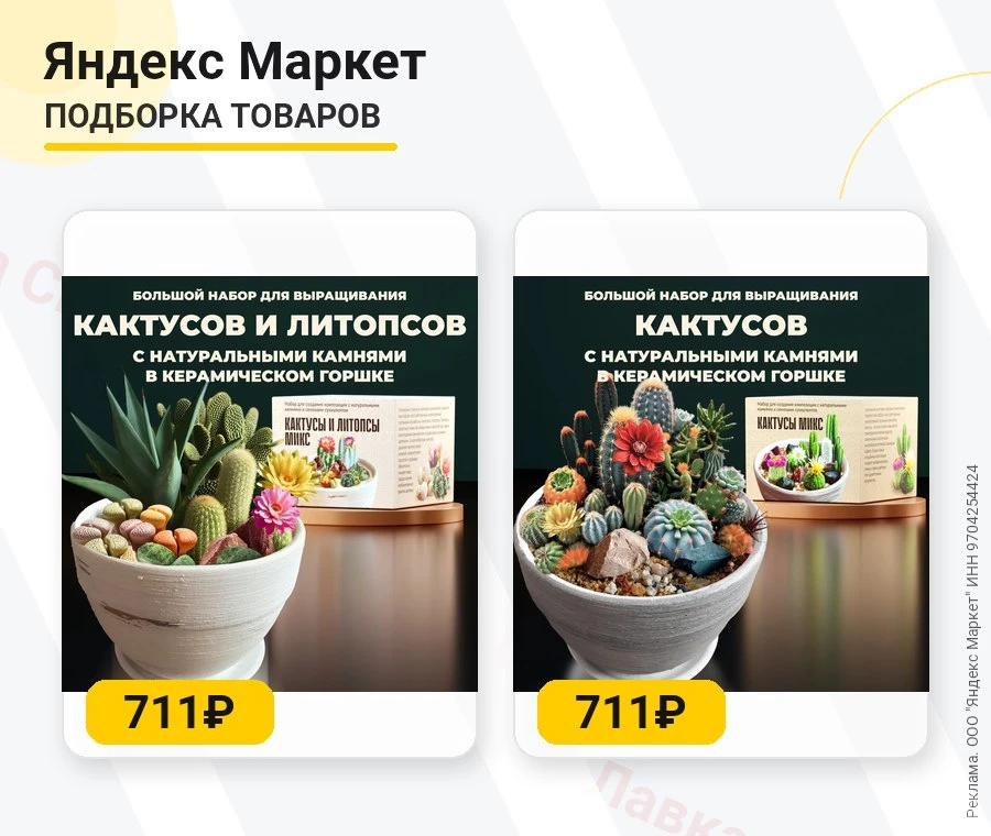 1. Набор для выращивания растений Кактусы и Литопсы за 711₽