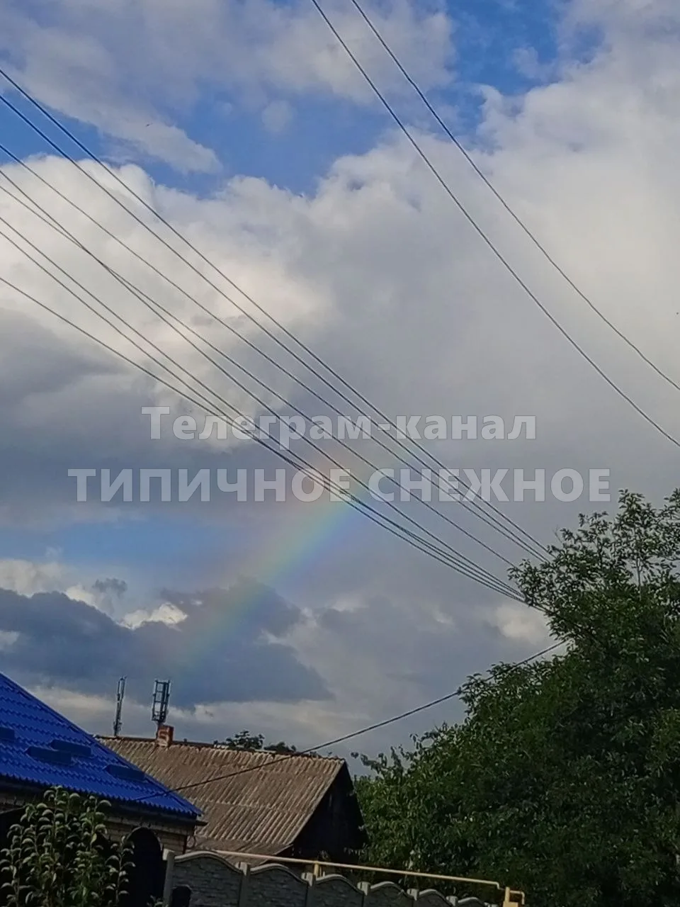 👤 Радуга🥰 29.07.2026