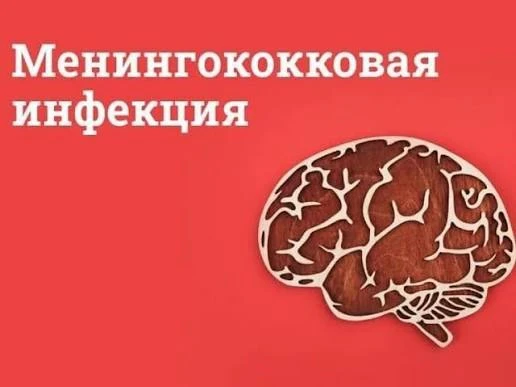 Менингит и менингококковая септицемия это редкие ,но крайне тяжелые заболевания,которые...