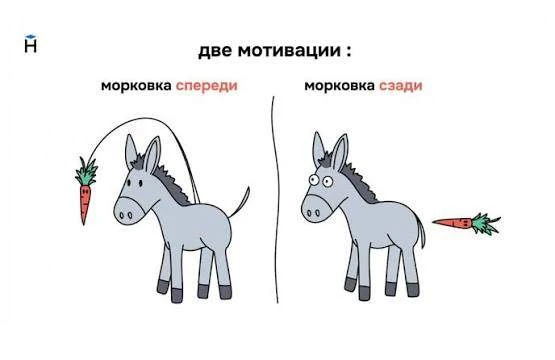 МОРКОВКА СПЕРЕДИ ИЛИ СЗАДИ