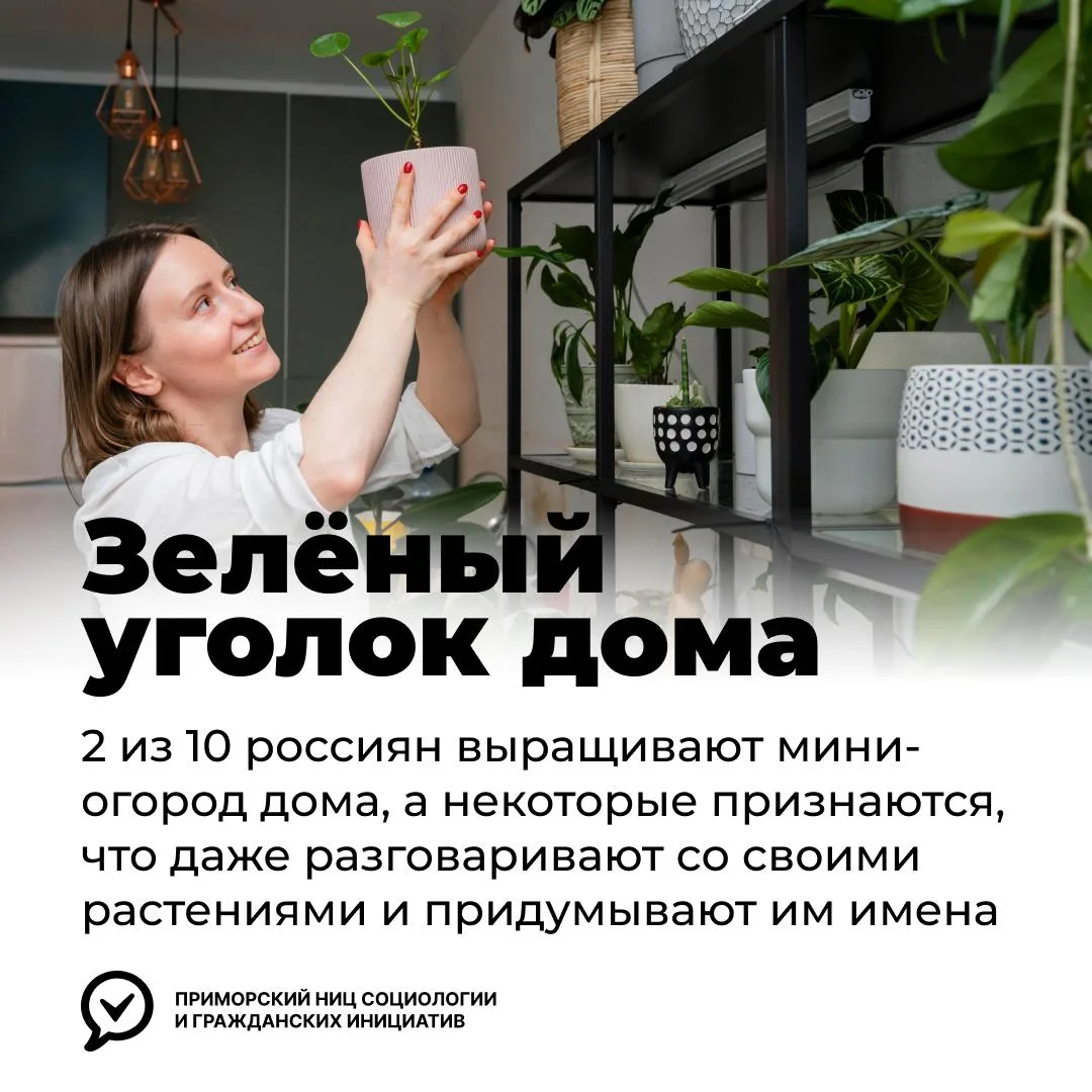 🪴 У каждого пятого россиянина есть мини-огород на подоконнике или балконе

Для домашнего огорода не