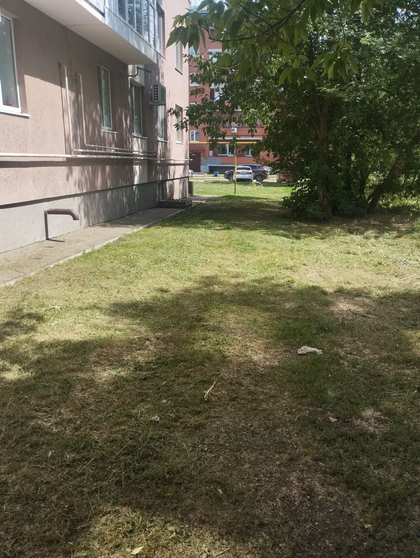 20.06.2026 Плановый покос травы по адресу: ул.Ленина, д.107