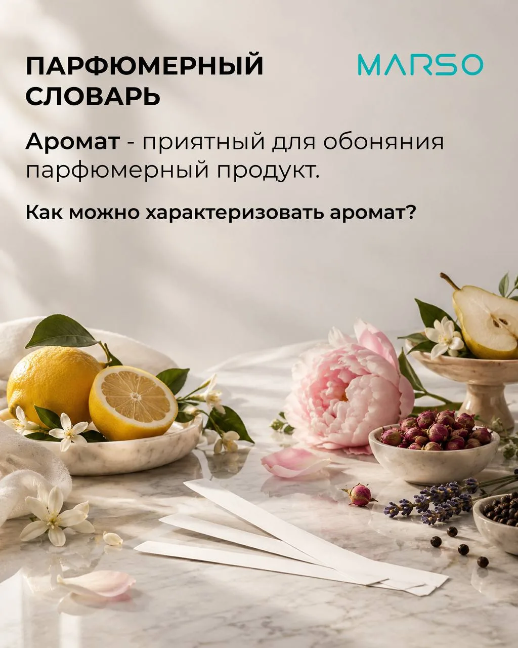💖Дополняем наш парфюмерный словарь новыми определениями аромата 🤓