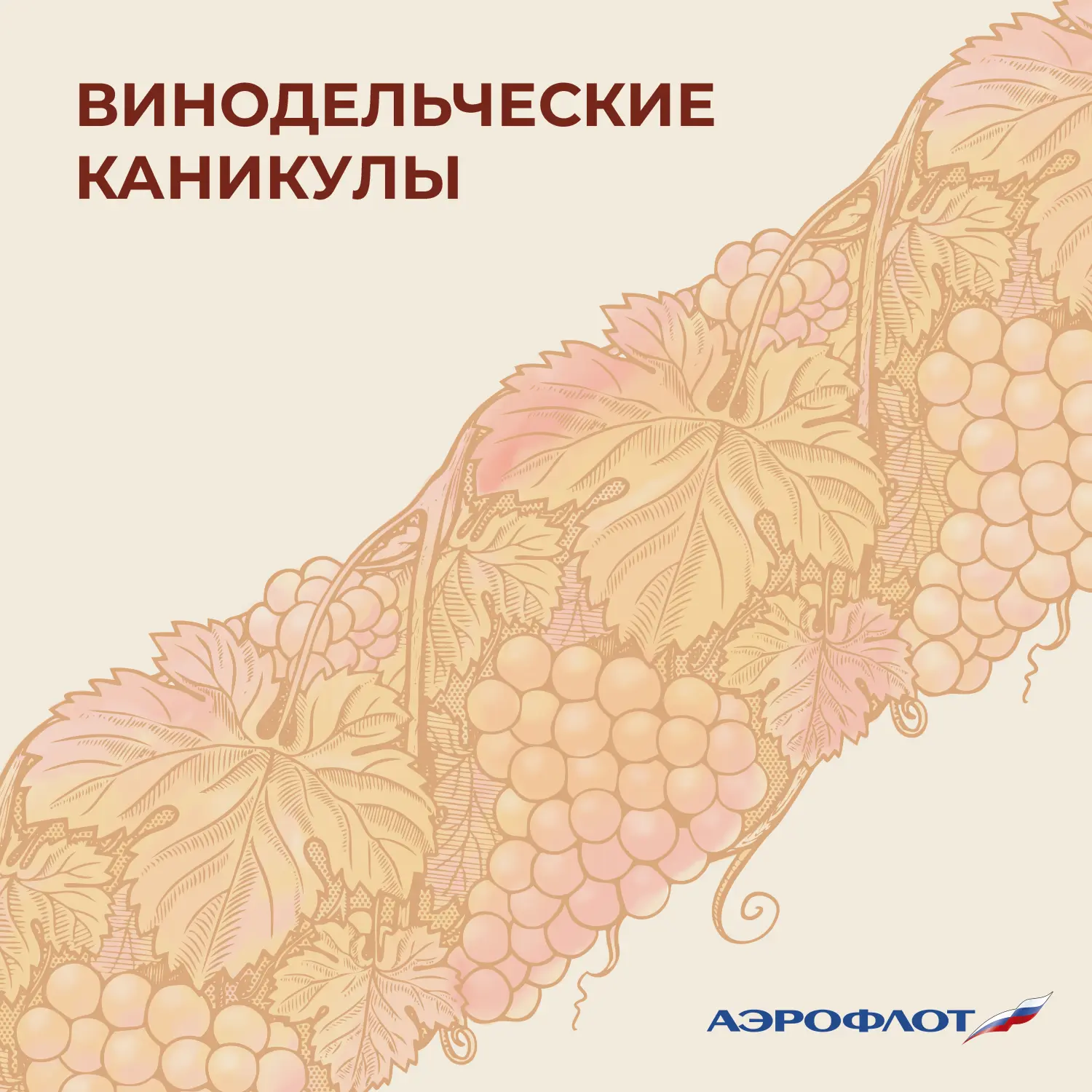 ✈️ До 8 марта включительно — «Винодельческие каникулы»  Знакомим с образцами российского виноделия н