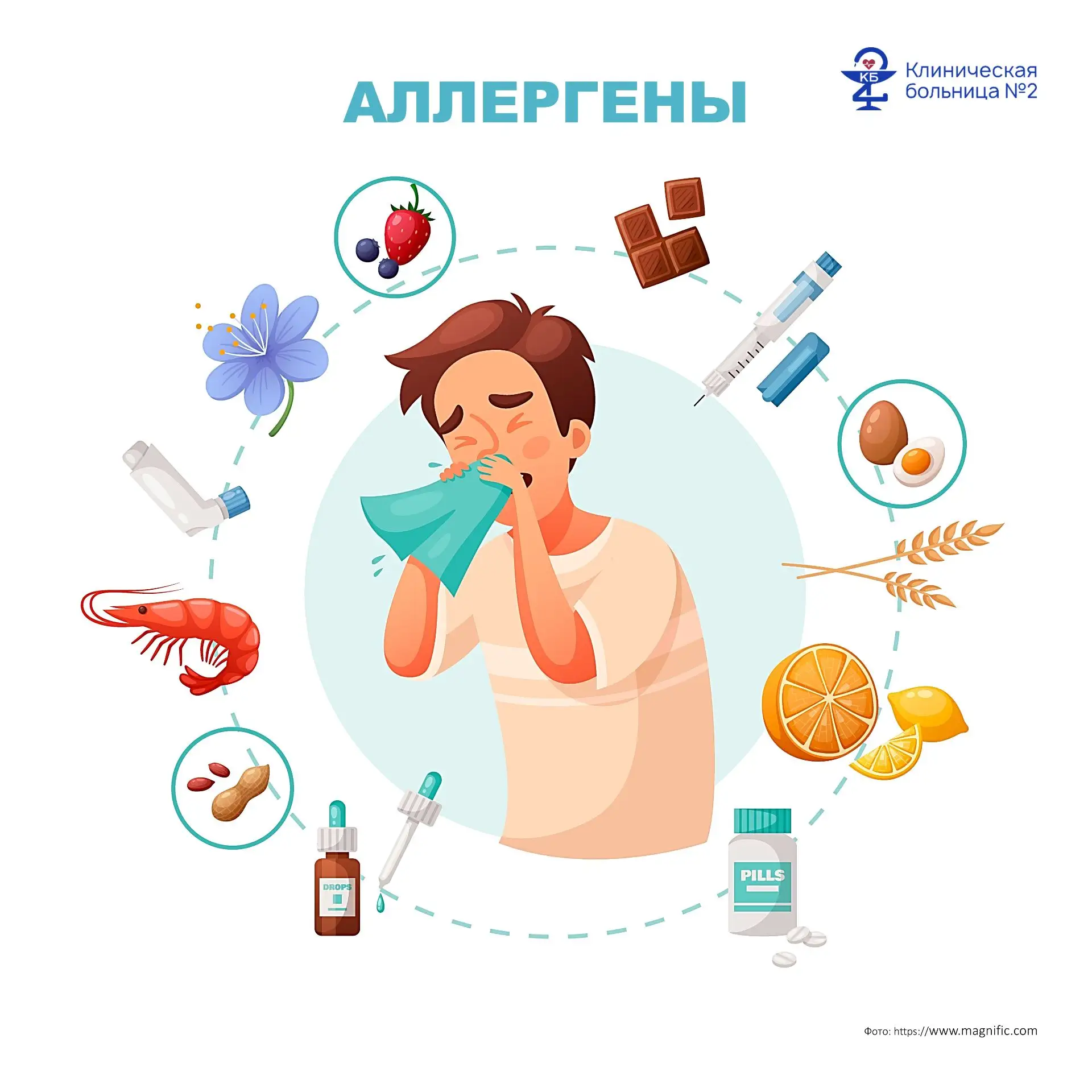 🤧 Аллергию не зря называют «чумой III тысячелетия»: число людей с повышенной чувствите...
