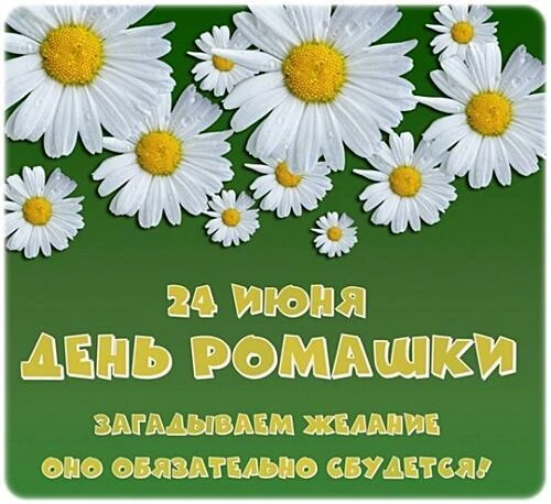 24 июня во второй младшей группе  мы отмечаем удивительный праздник — День ромашек! 
Ромашка — это н