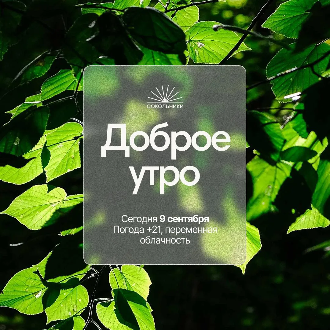 Доброе утро 🌿