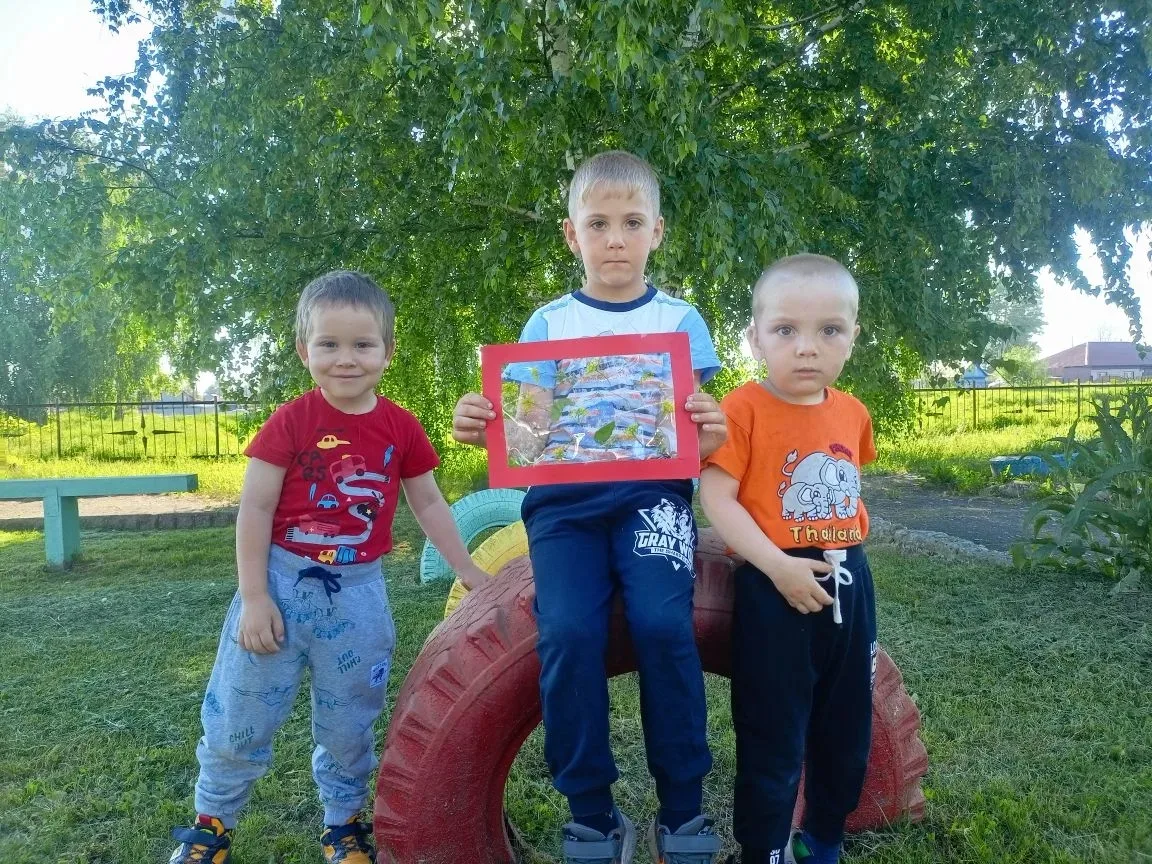 Красивые летние листья, это не только дар природы, который радует нас летом и осенью, но и замечател