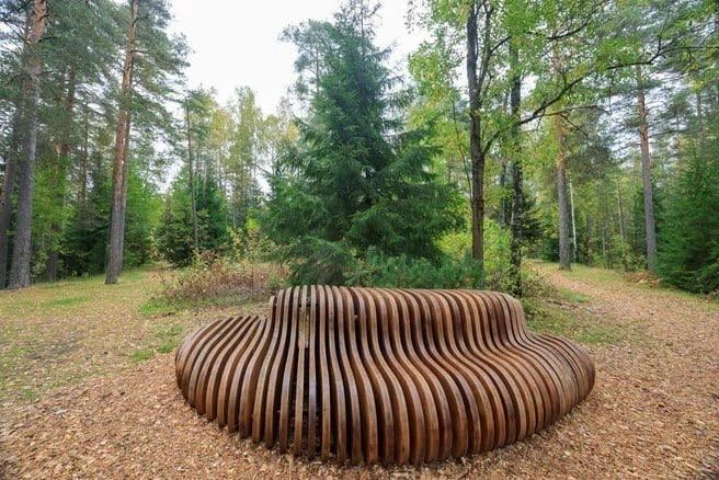 🌿 В Курортном районе открыли «Озёрную тропу»