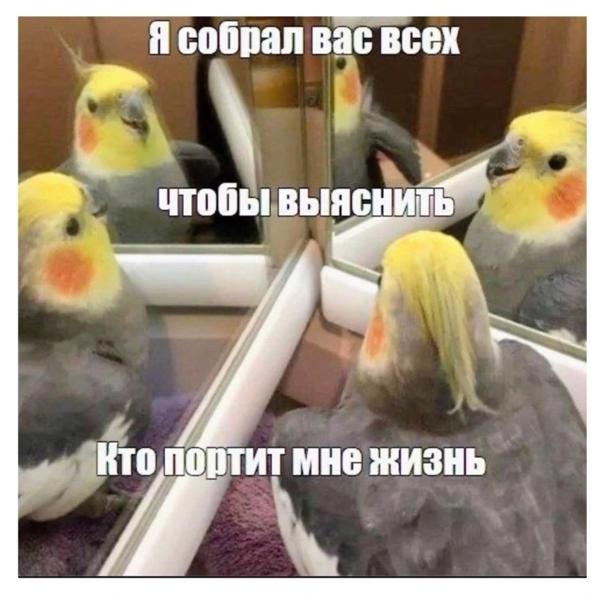 Решила провести сегодня срочное совещание со всеми моими личностями, чтобы выяснить как...