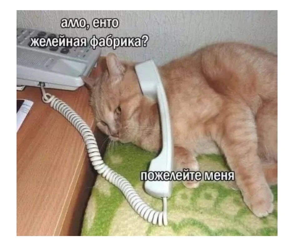 Привет! В эфире мемная пятница ☺️ Держитесь, скоро лето. А если хочется пожаловаться, в...
