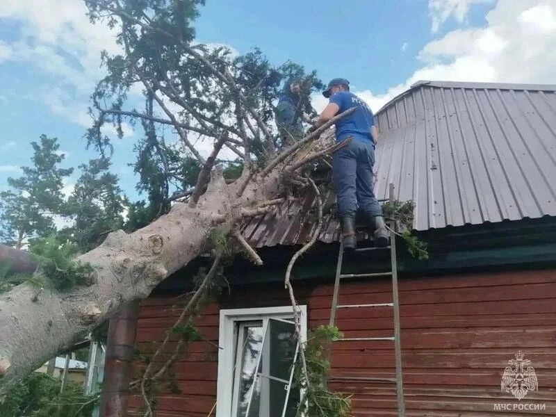 ⚡️Пострадавшие от урагана в Краснощёковском районе получат выплаты из бюджета края

Губернатор Алт