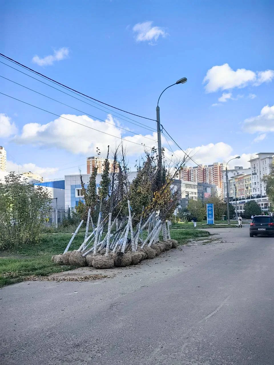 🌳В ЖК «АРТ» привезли деревья для посадки