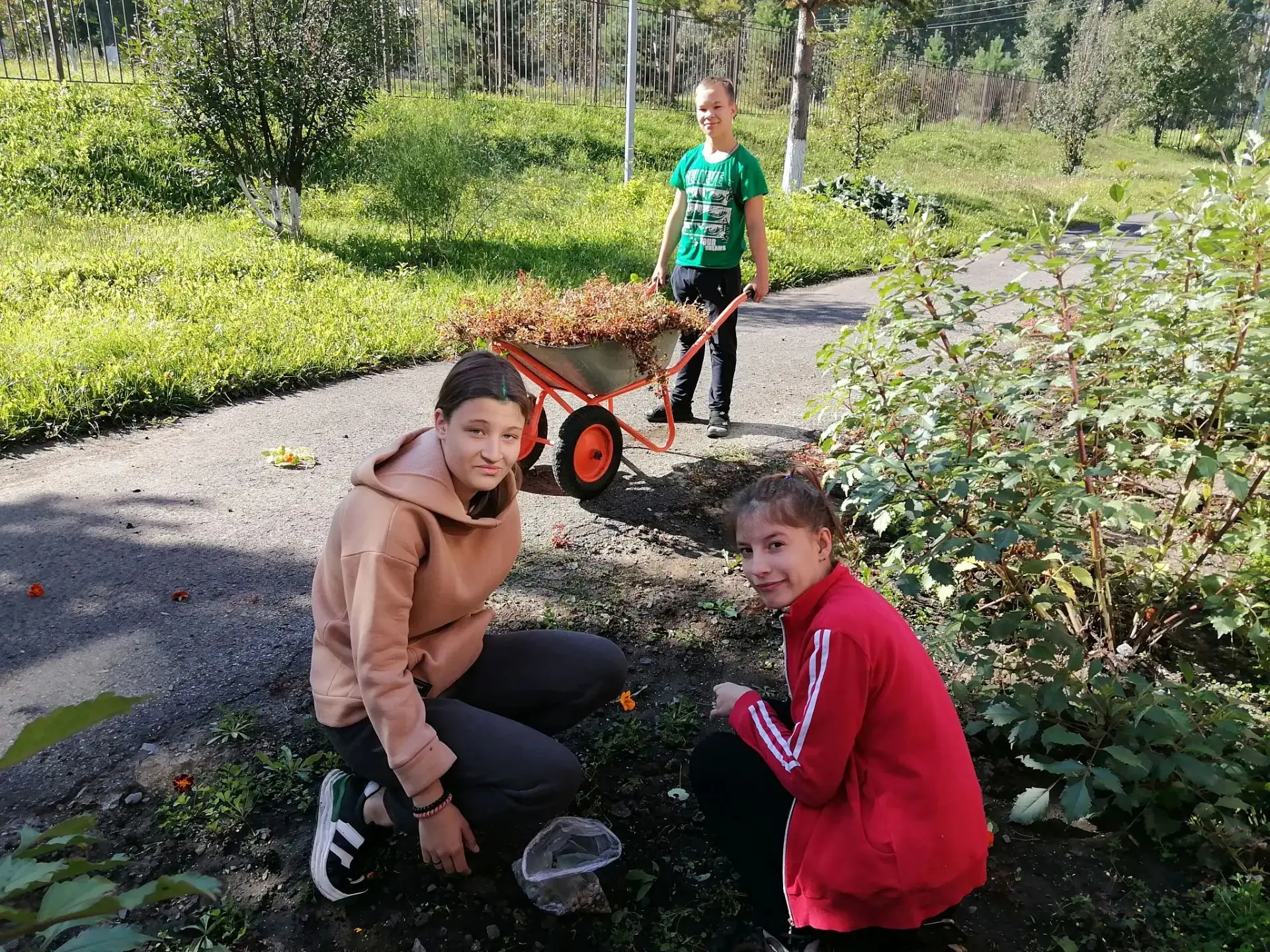 Вот и осень 🍁🍁🍁