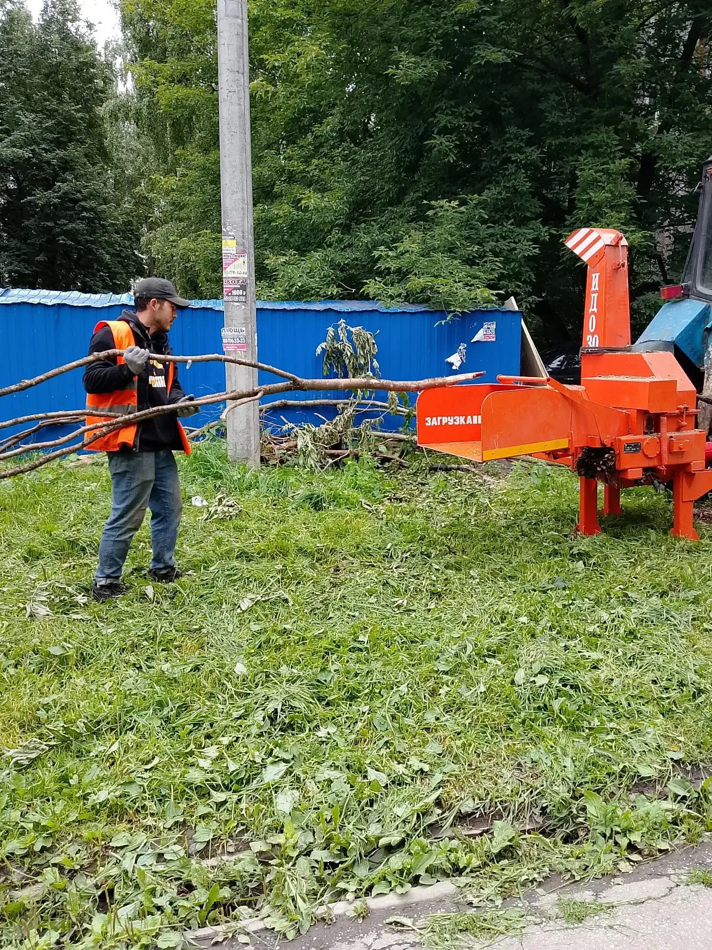 🌳 Проводим санитарную обрезку деревьев: удаляем сухие и повреждённые ветви, чтобы сделать дворы ком