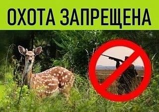 Охота приостановлена с 28.09.2026 по 10.10.2026 (включительно)