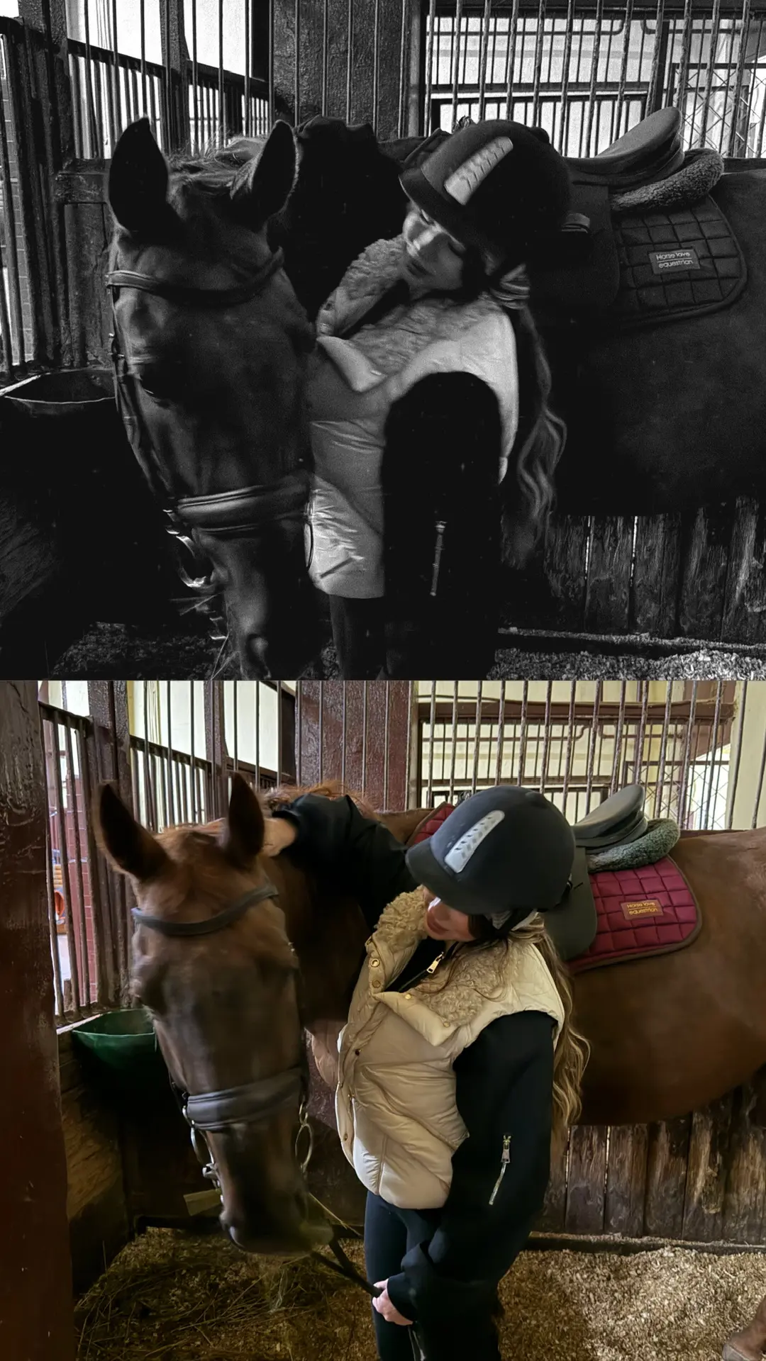 любовь💔🐴