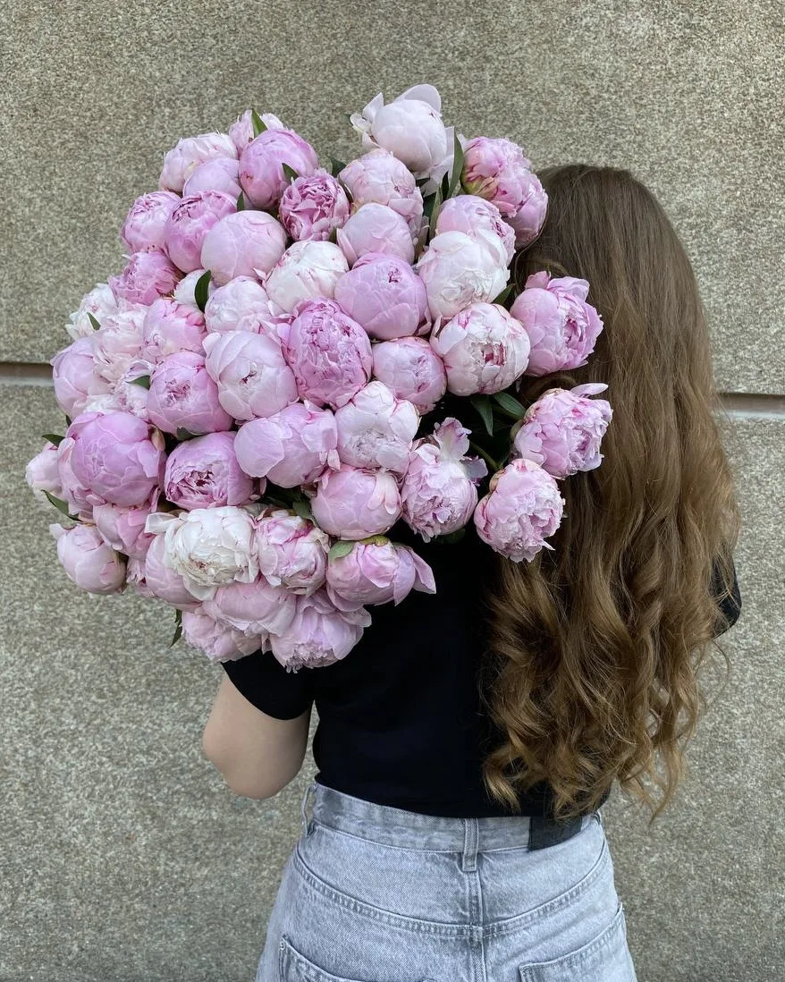 Пионы снова делают вид, что они тут навсегда🌸
