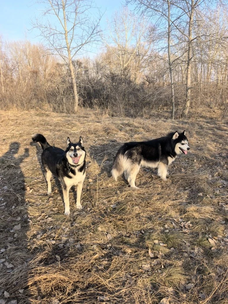 Солнце и свежий воздух-лучшие друзья! 🌞😊