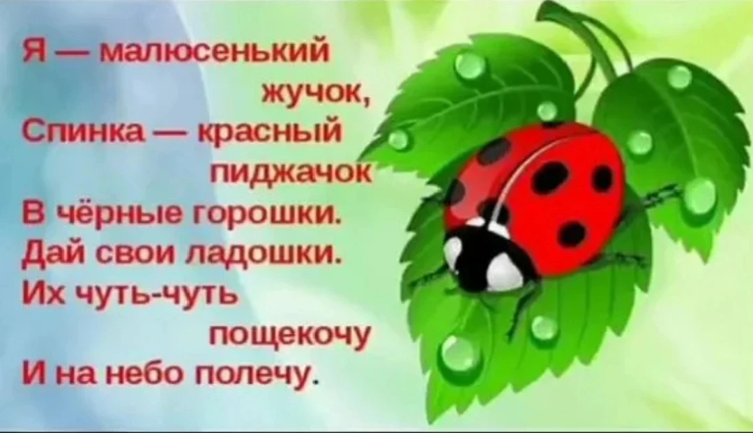 Сегодня дети с увлечением лепили божьих коровок.🐞