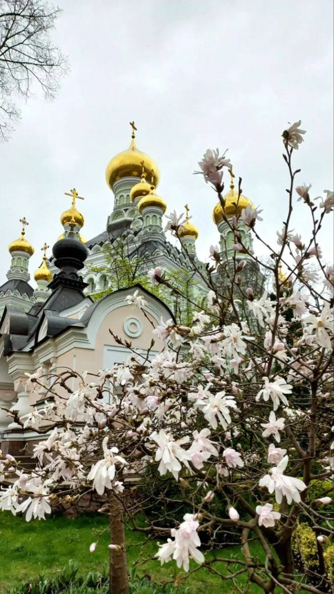 Пс.137:1. Исповемся Тебе, Господи, всем сердцем моим, и пред Ангелы воспою Тебе, яко ус...