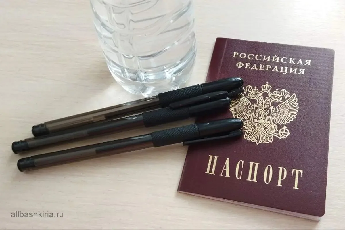 ⚡️ Выпускникам рассказали, где и когда появятся результаты ЕГЭ в 2026 году