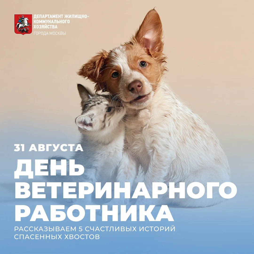 🐱🐶 Сегодня отмечается День ветеринарного работника!