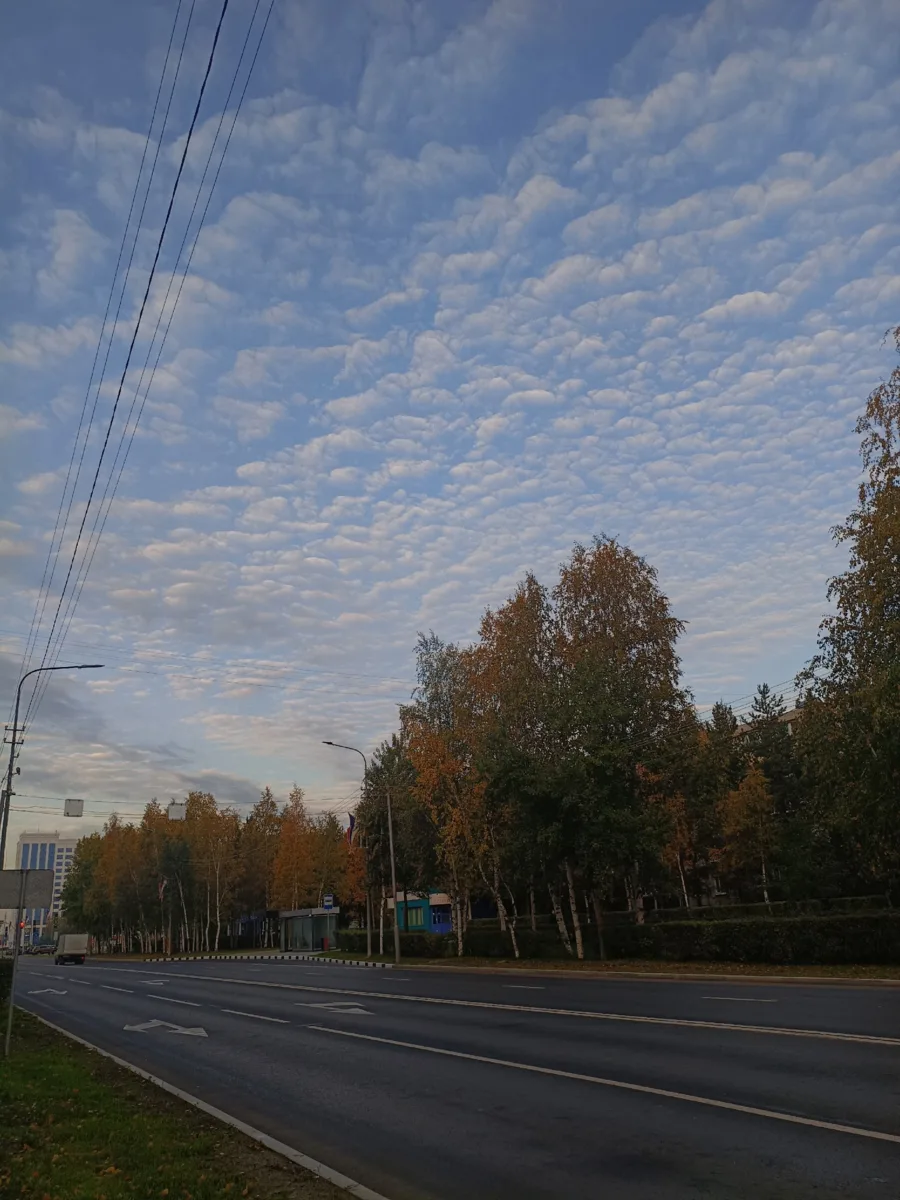 Красота в простом❤️