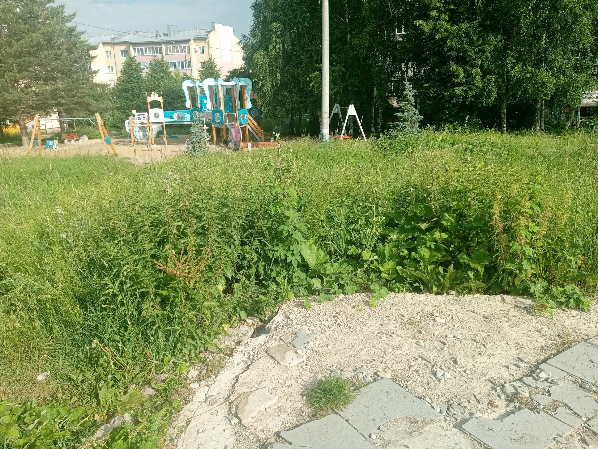 От нашего подписчика:

КУМ 10, аууууу!