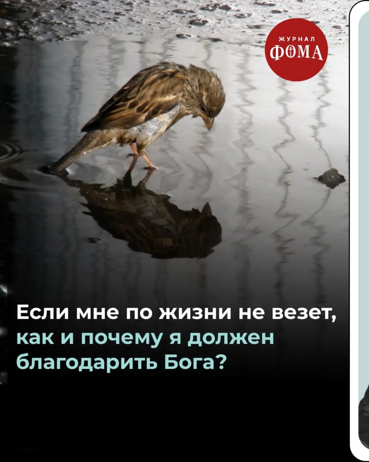 Мы довольно часто в наших материалах поднимаем вопрос того, как соотносятся воля Бога и...