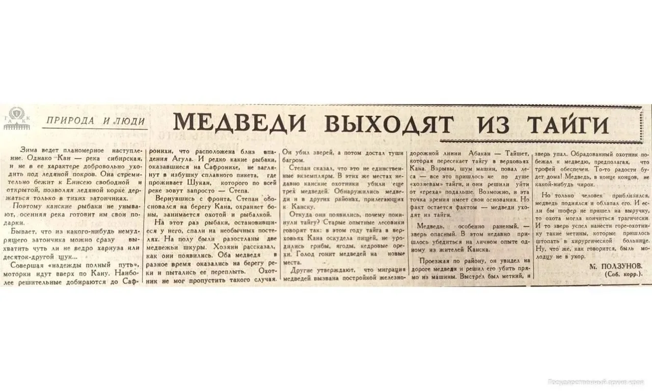 ❗Медведи выходили к жителям края и 60 лет назад