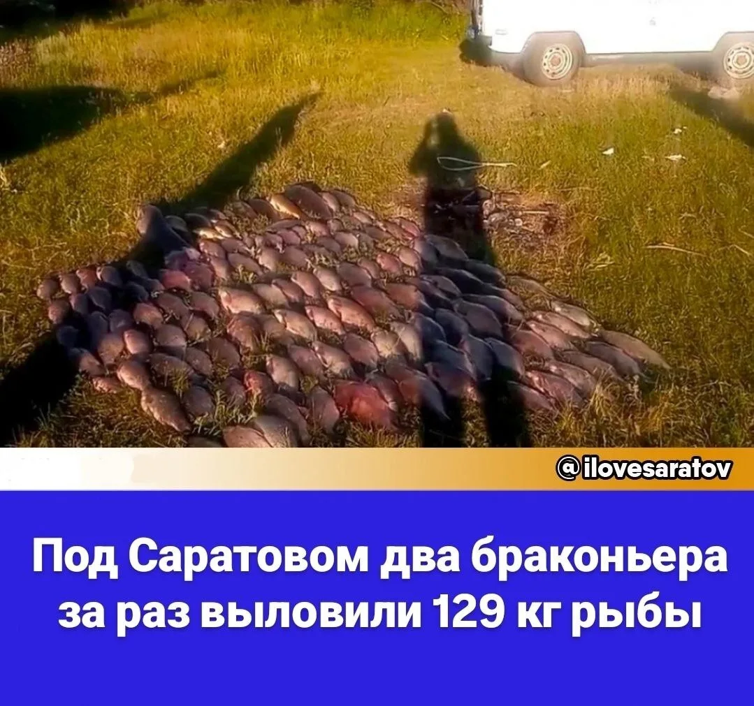 В Ровенском районе Саратовской области задержали двух браконьеров с крупным уловом, сообщает региона