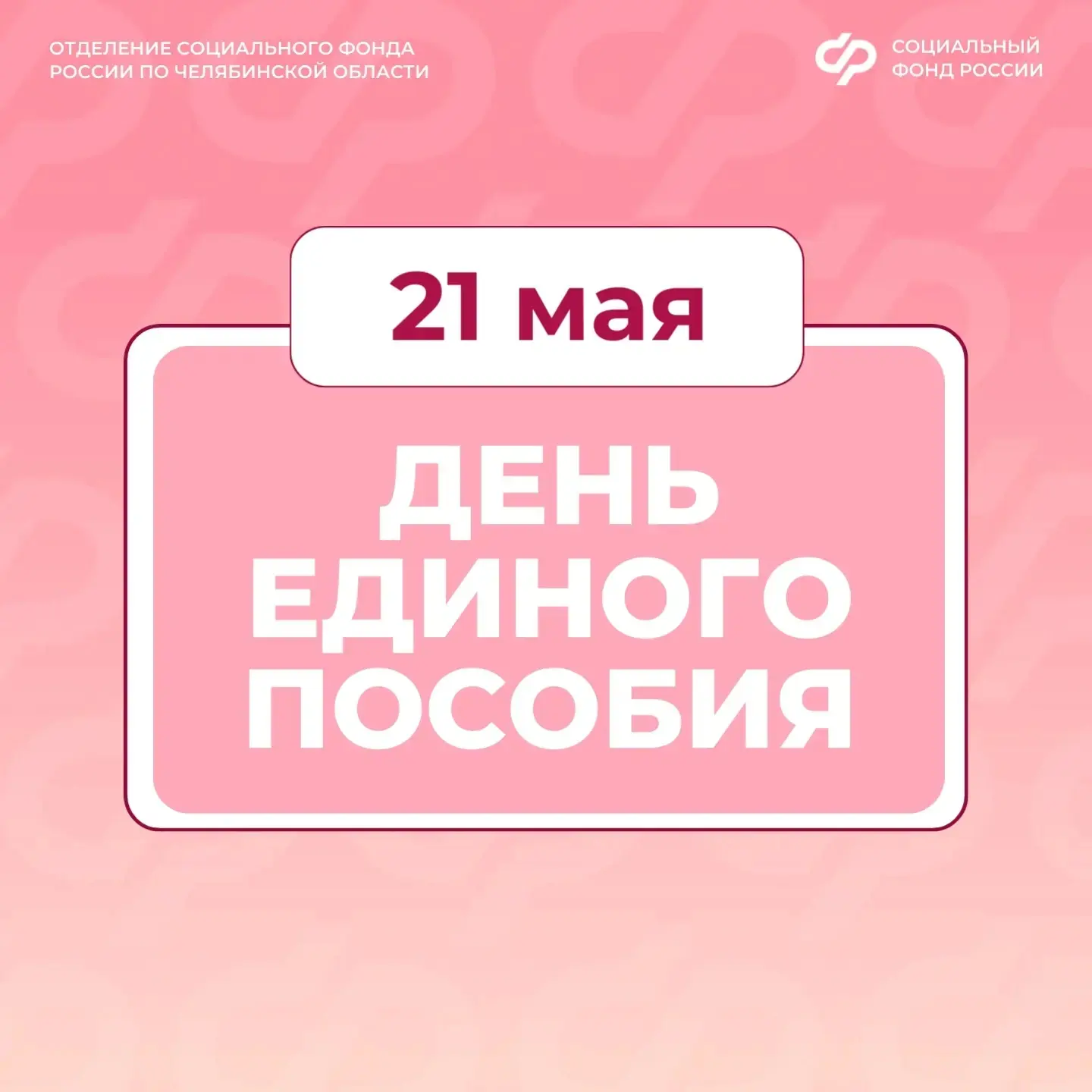 Отделение СФР по Челябинской области приглашает жителей региона 21 мая на День единого пособия  Полу