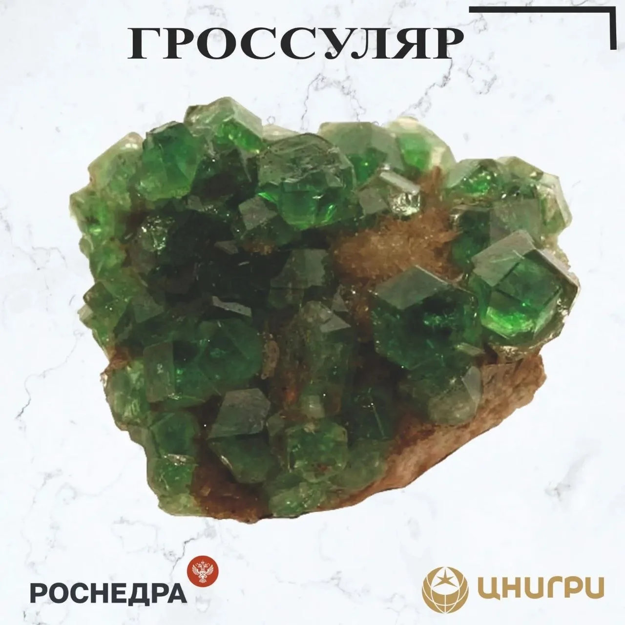 В эту среду ЦНИГРИ⁉️