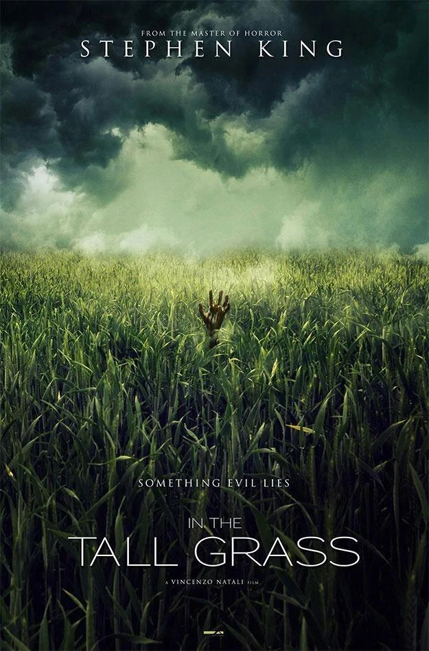 🍿 В высокой траве (2019)