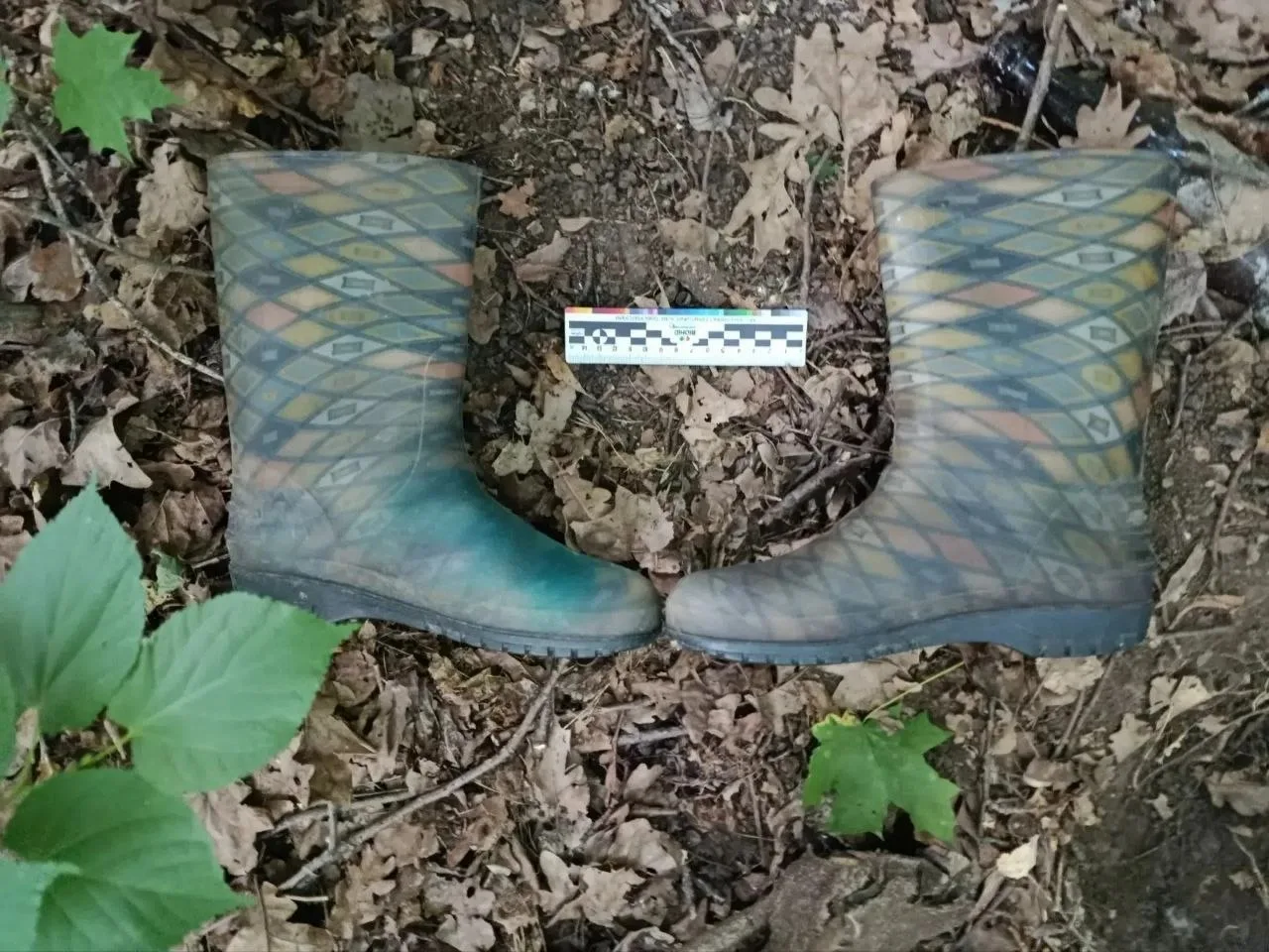 ❗14 июня на окраине села Абашево Чебоксарского района нашли труп пожилой женщины. Подозревают, что п