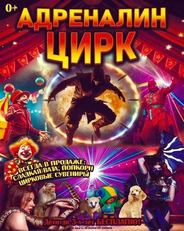 ЦИРК 🤡ЦИРК🤡 ЦИРК
