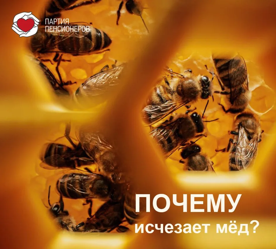 🍯 Мед исчезает с наших столов. Любимый вопрос - ПОЧЕМУ?

За первые пять месяцев 2026 года продажи м